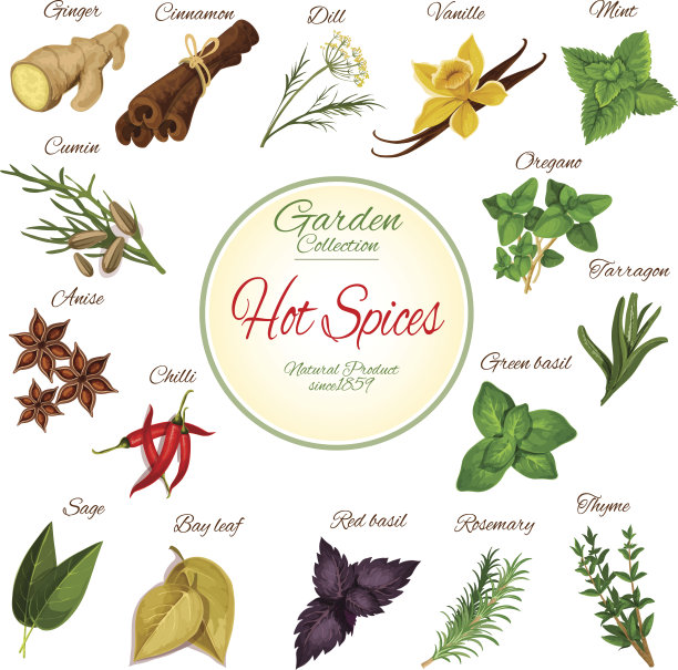 辣香料，药草和调味品海报设计图片下载