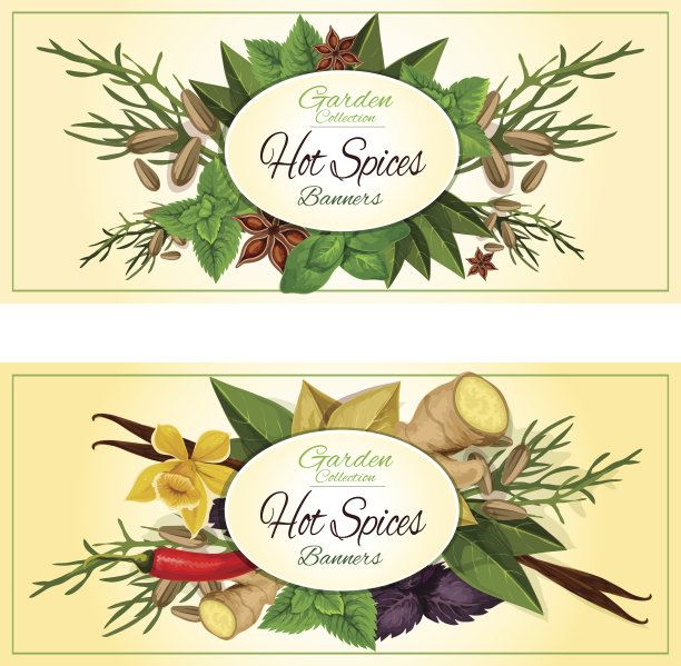 热香料和草药矢量旗帜设置图片下载