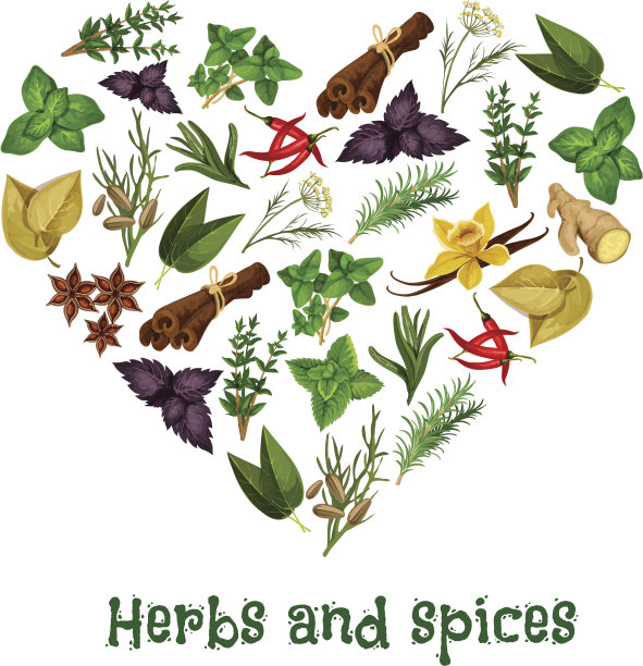 草药和香料心矢量海报图片下载