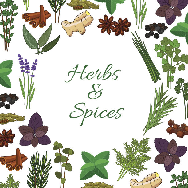 香料和香辣香草调味矢量海报图片下载
