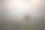 码头图片下载