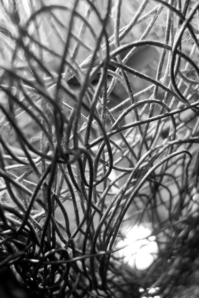 随机混沌行图片下载