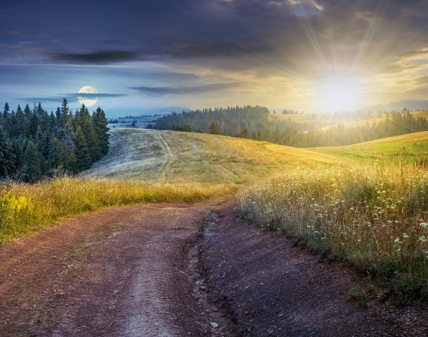 农村地区山坡上的森林图片下载