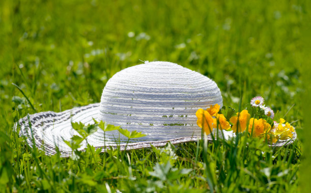 女人的帽子在草丛里，上面有花图片下载
