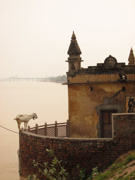 神奇的印度图片下载