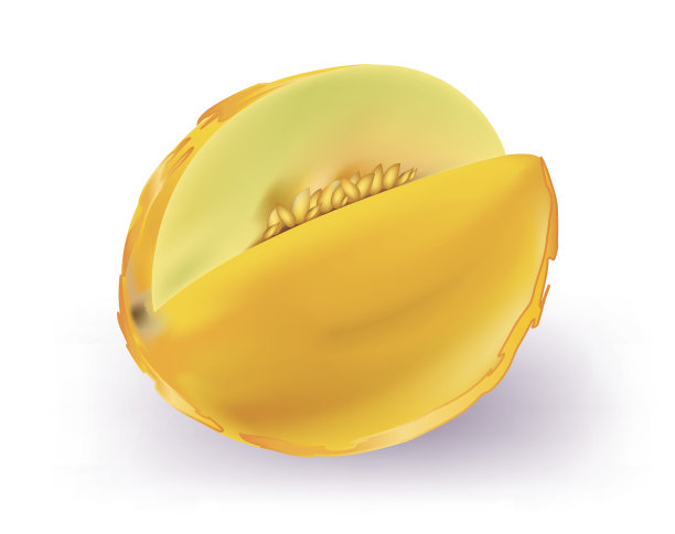 黄蜜瓜图片下载