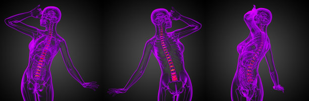 椎间盘的三维渲染医学插图图片下载