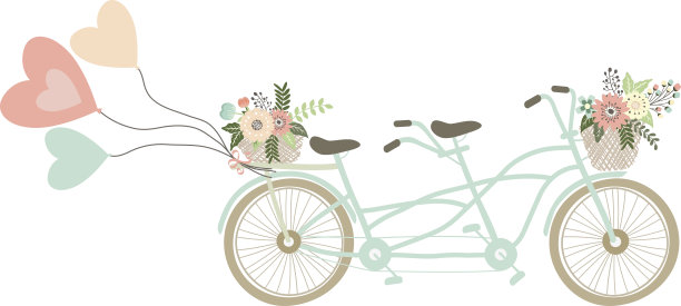婚礼自行车与气球。篮子里的花。喜欢气球。双胞胎的自行车图片下载