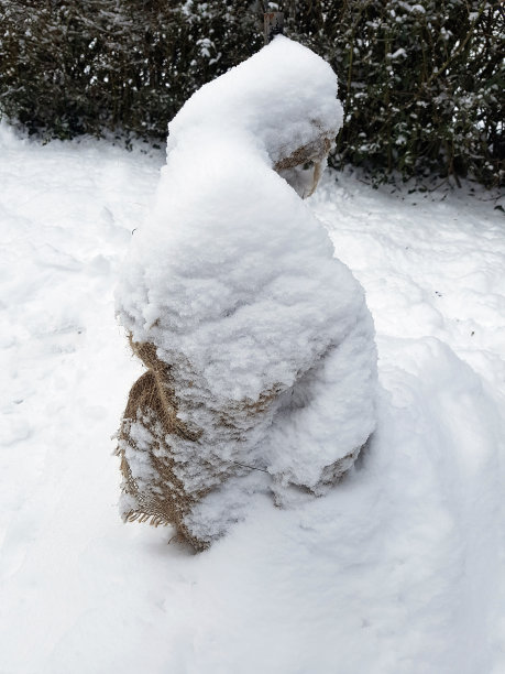 霜冻保护、麻布、图片下载