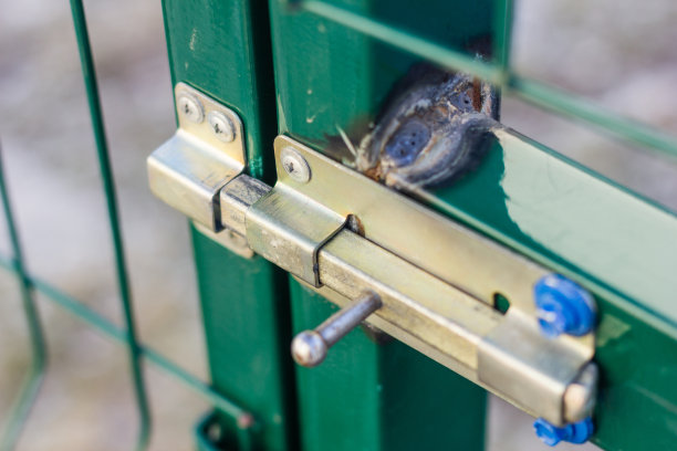 绿色门上的黄色锁。网格的门。花园周围有篱笆。图片下载