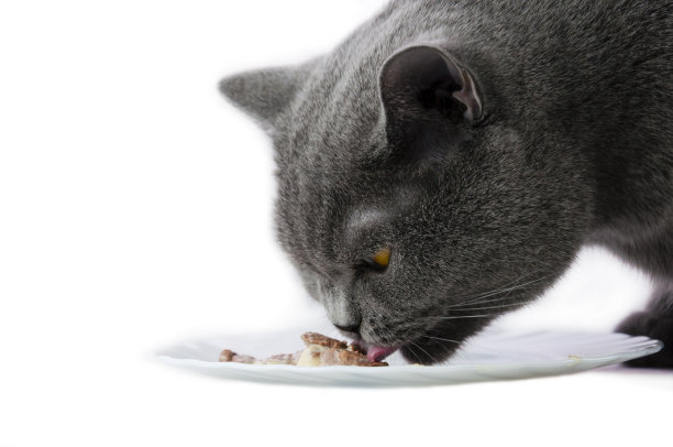 美味的食物图片下载