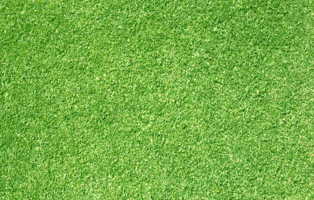 绿草的背景图片下载