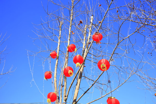 中国的灯笼素材图片