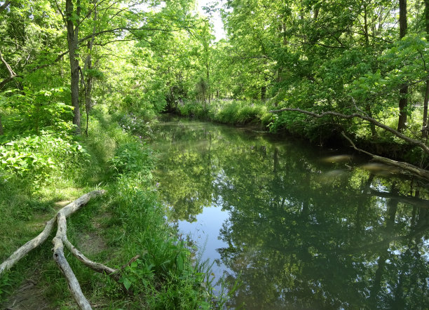 宁静的海狸溪图片下载