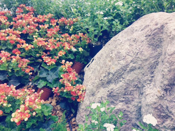 花园抽象的背景图片下载