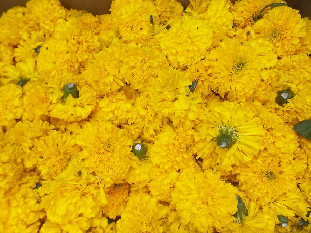 印度浦那图片下载