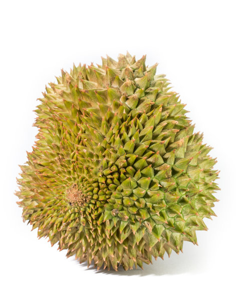 白色背景上的榴莲图片下载