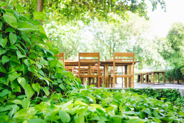 抽象模糊的绿色自然图片下载