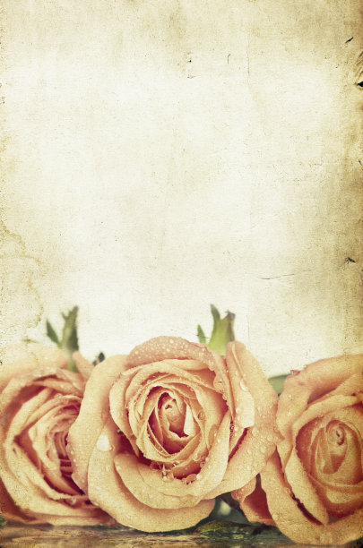 粉红色的玫瑰在复古的背景图片下载