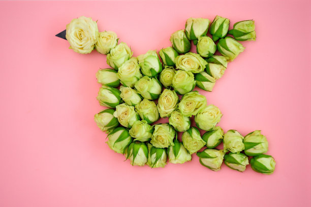 婚礼背景与玫瑰。一只玫瑰之鸟。纸上的玫瑰背景。从以上观点。婚礼，爱情的概念。图片下载