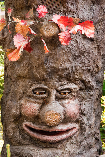 梦魔树图片下载