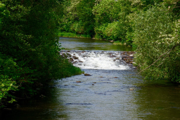 在阿尔萨斯图片下载
