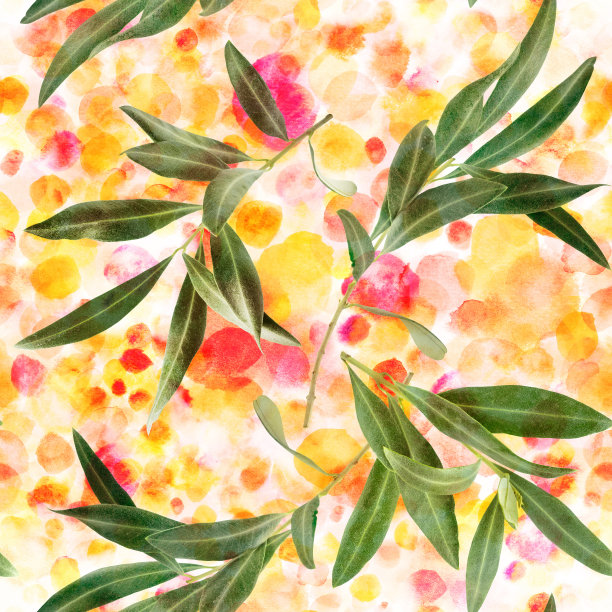 无缝图案的橄榄树树枝上的水彩纹理图片下载