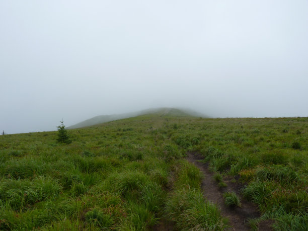 多雾的山。山间迷雾中的小径。美丽的风景，多雨的云，喜怒无常的天气，风景背景。Bieszczady山图片下载