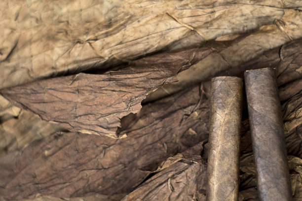 烟叶上的雪茄图片下载