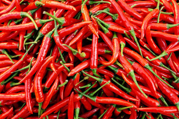 新鲜多汁的辣椒素材图片