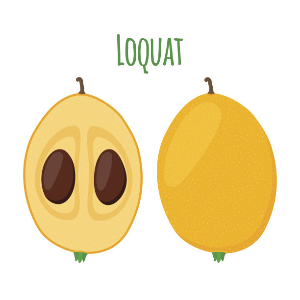 枇杷热带水果卡通扁风格。奇异的热带营养图片下载