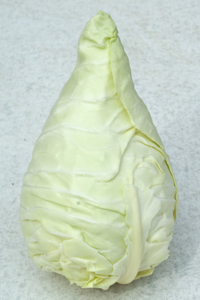 包心菜图片下载