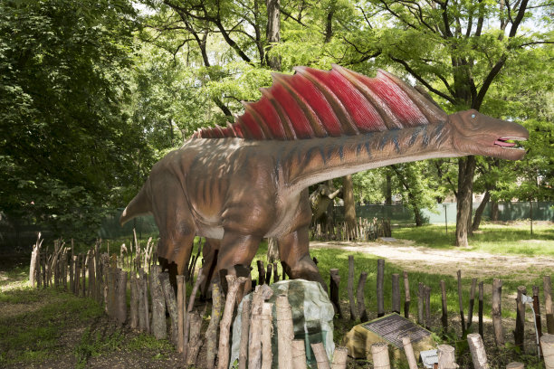 阿马加索鲁斯图片下载