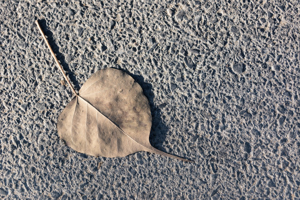留在地上晾干图片下载