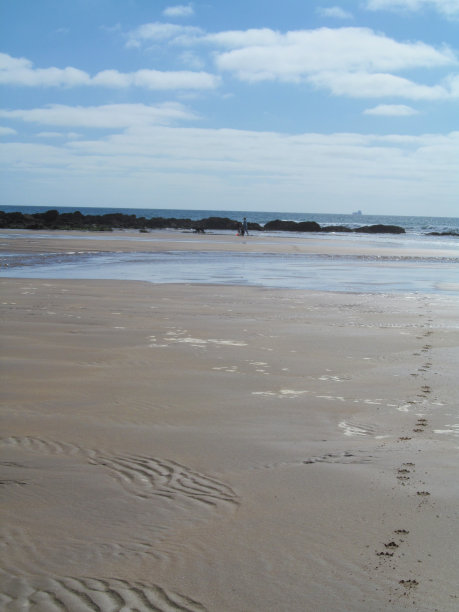 海滩上的脚步声图片下载