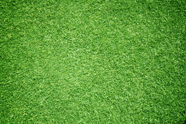 绿草的背景图片下载