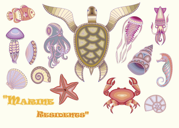 一套“海洋生物”的创意图片下载