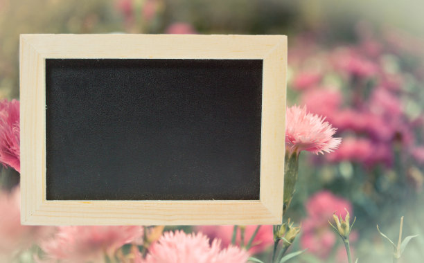 以Frowers为背景的黑板图片下载