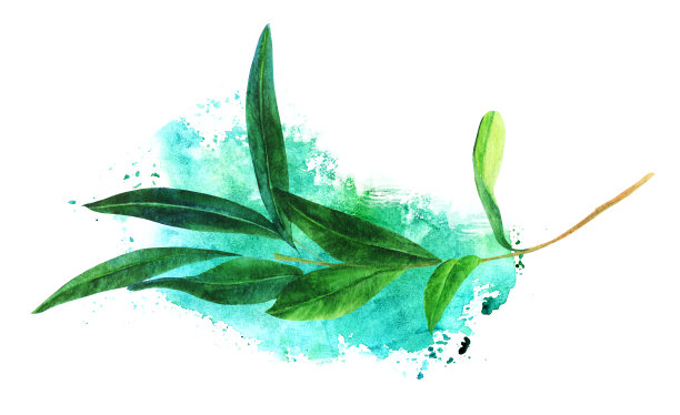 青椒里塞满了肉和米饭，还有拷贝空间图片下载