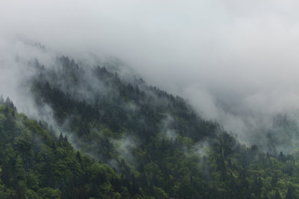城市边缘雾谷的空中全景图，日出图片下载