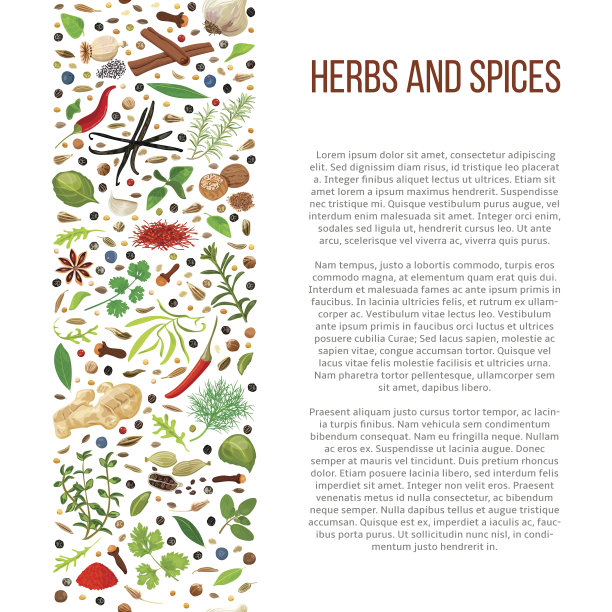 不同的药草和香料的描述文字图片下载