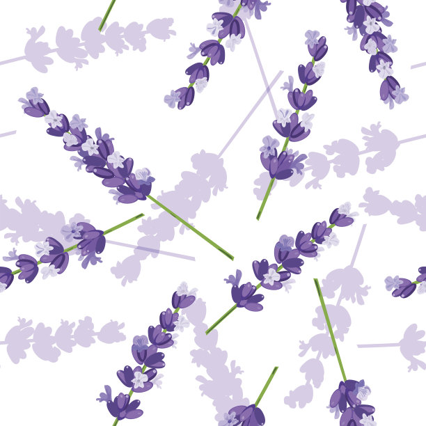 薰衣草花矢量无缝图案图片下载
