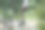 丹顶鹤照片素材ID：158480626