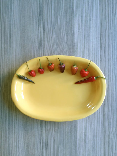 盘子里的辣椒图片下载