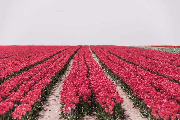 在大自然中休息图片下载