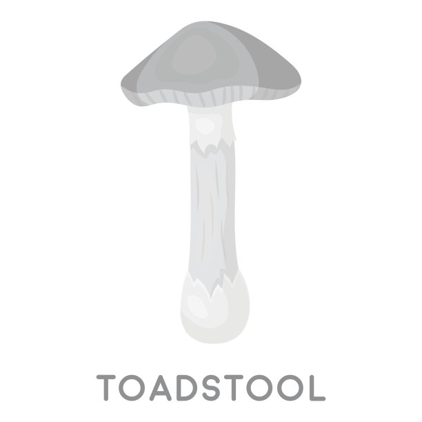 伞菌图标在单色风格孤立在白色背景。蘑菇符号股票矢量插图。素材图片