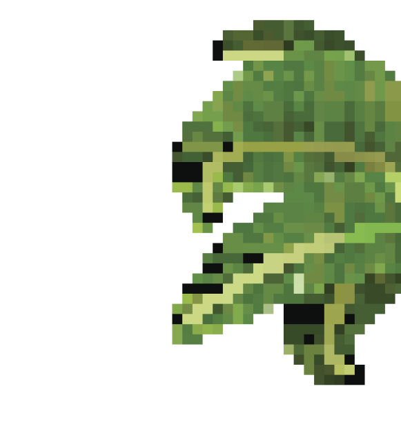 绿色的棕榈树叶子孤立在白色图片下载