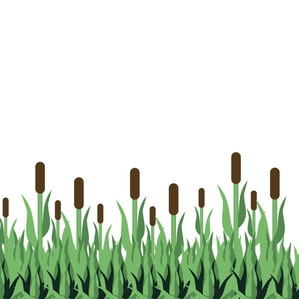 白色背景上的芦苇和鹅肝。矢量插图。图片下载