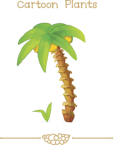 植物系列卡通植物:椰子树图片下载