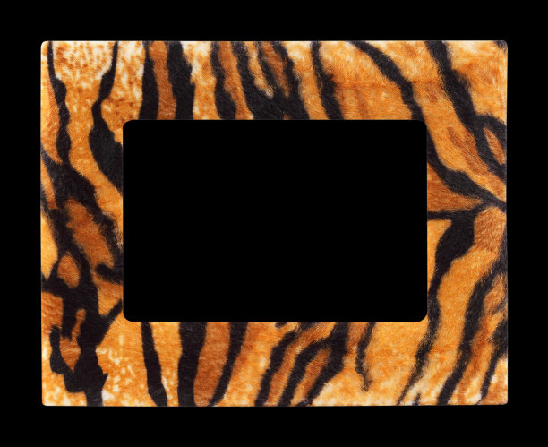 野生动物毛皮老虎照片框架孤立在黑色的背景图片下载
